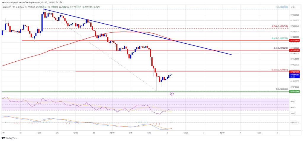 Dogecoin (DOGE) Falls to Support: Can It Avoid a Breakdown?