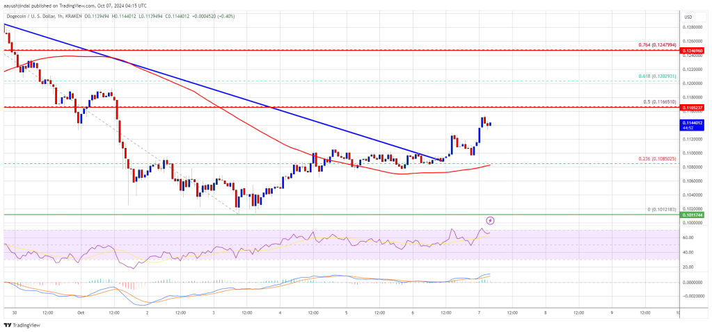 Dogecoin price