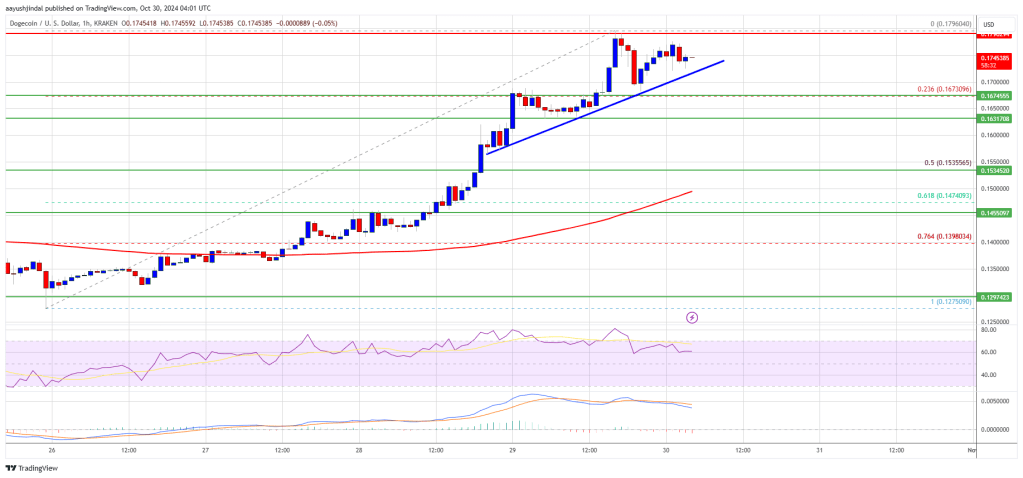 Dogecoin price