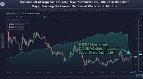 Dogecoin Holder Base Falls To 6-Month Low, But Analyst Believes DOGE Price Is Headed To $10