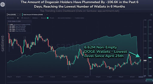 База держателей Dogecoin упала до 6-месячного минимума, но аналитик полагает, что цена DOGE приближается к 10 долларам