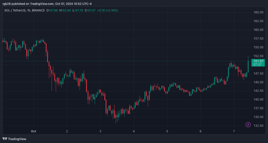 Experts Discuss What Made Solana Memecoins The Cycle’s Top Narrative