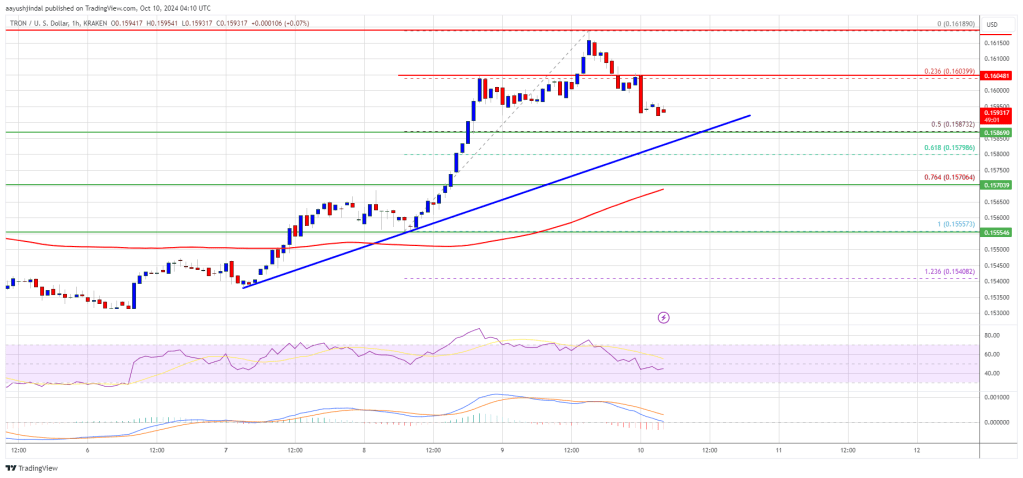 Tron (TRX) Holds Green as Markets Fall: Can It Keep Going?