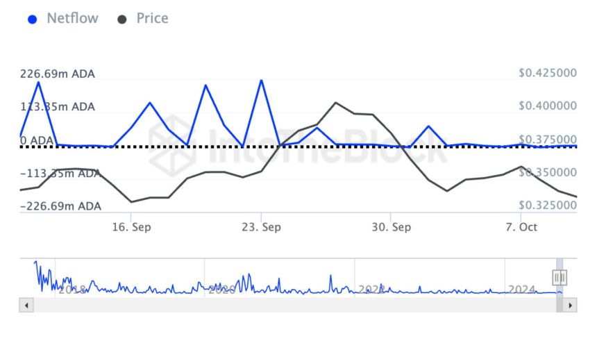 Cardano Faces 30% Correction Risk After Drop In Large Holders’ Netflow – Details