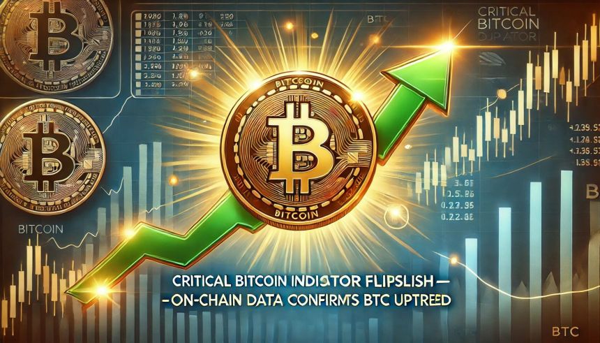 Create an image for an article with this title: Bitcoin Bullish Outlook Confirmed By Critical Data – STH Overheating?