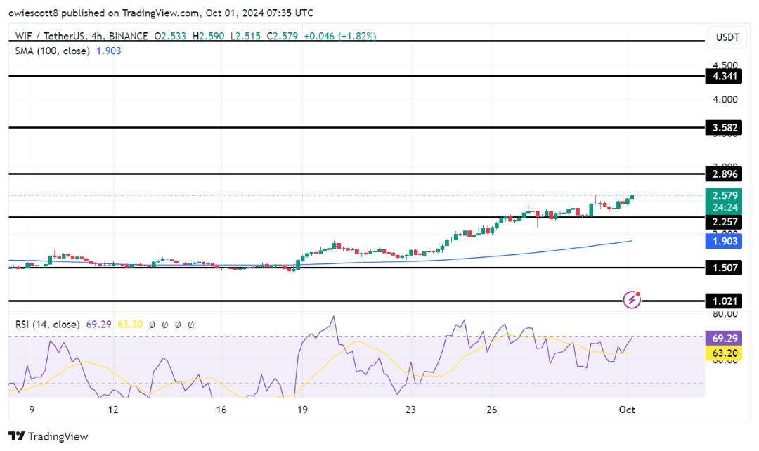 Touros WIF sob controle enquanto RSI sinaliza forte potencial de alta