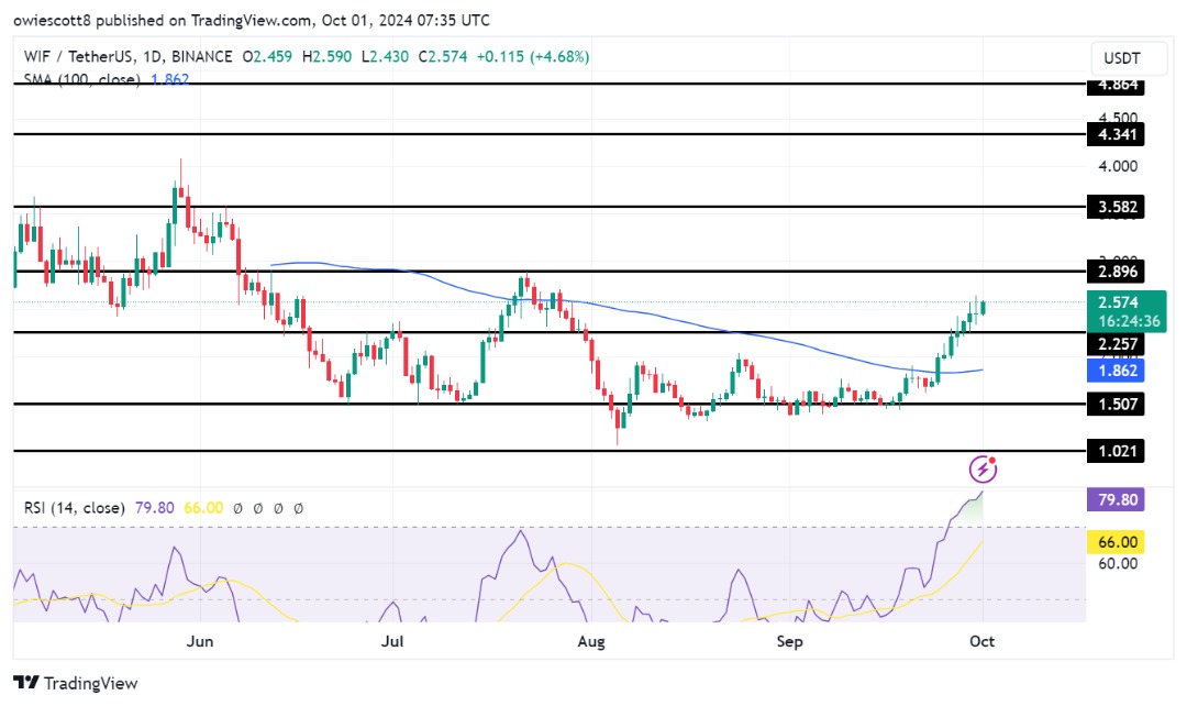 Быки WIF контролируют ситуацию, поскольку RSI сигнализирует о сильном потенциале роста