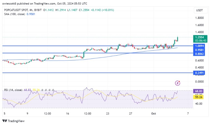 POPCAT Surges Past $1.0094 All-Time High – What’s The Next Price Target?