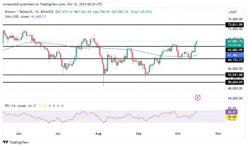 **Bitcoin oltre i 65.000 dollari: è la volta buona per un nuovo record storico?**