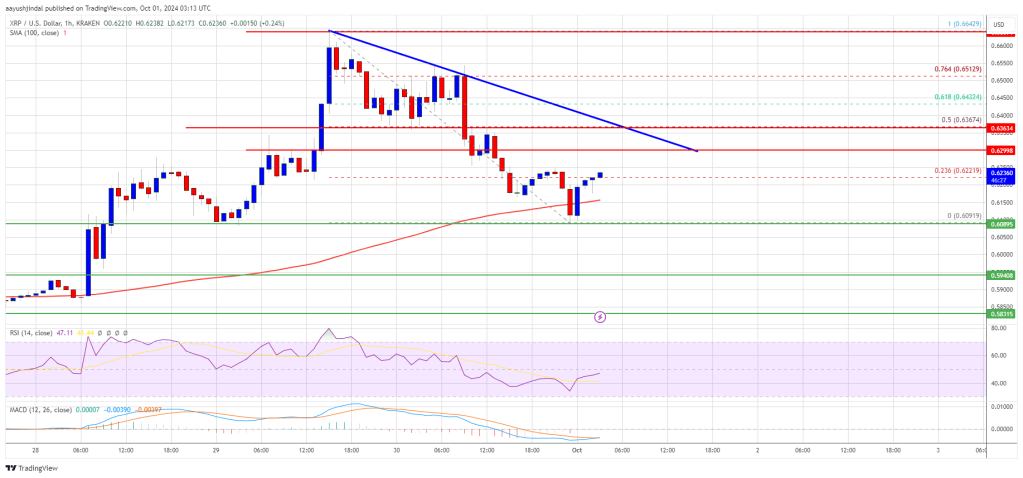 Precio XRP