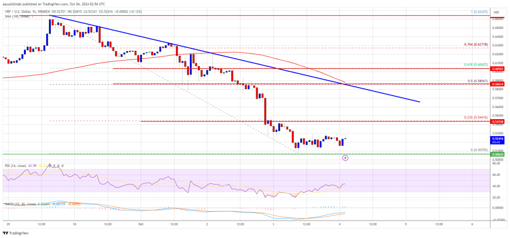 XRP Price Stabilizes After Losses: Can Bulls Regain Momentum?