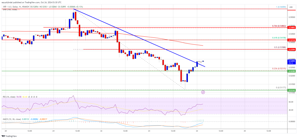 XRP price