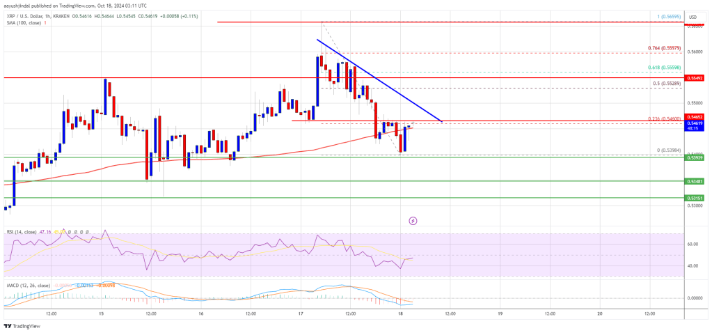 XRP Price Set To Resume Upside: Is Momentum Building?