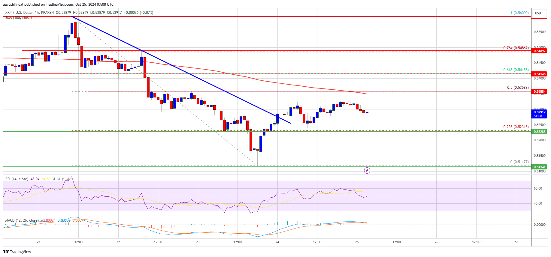 O preço do XRP enfrenta lutas contínuas: uma reviravolta acontecerá?