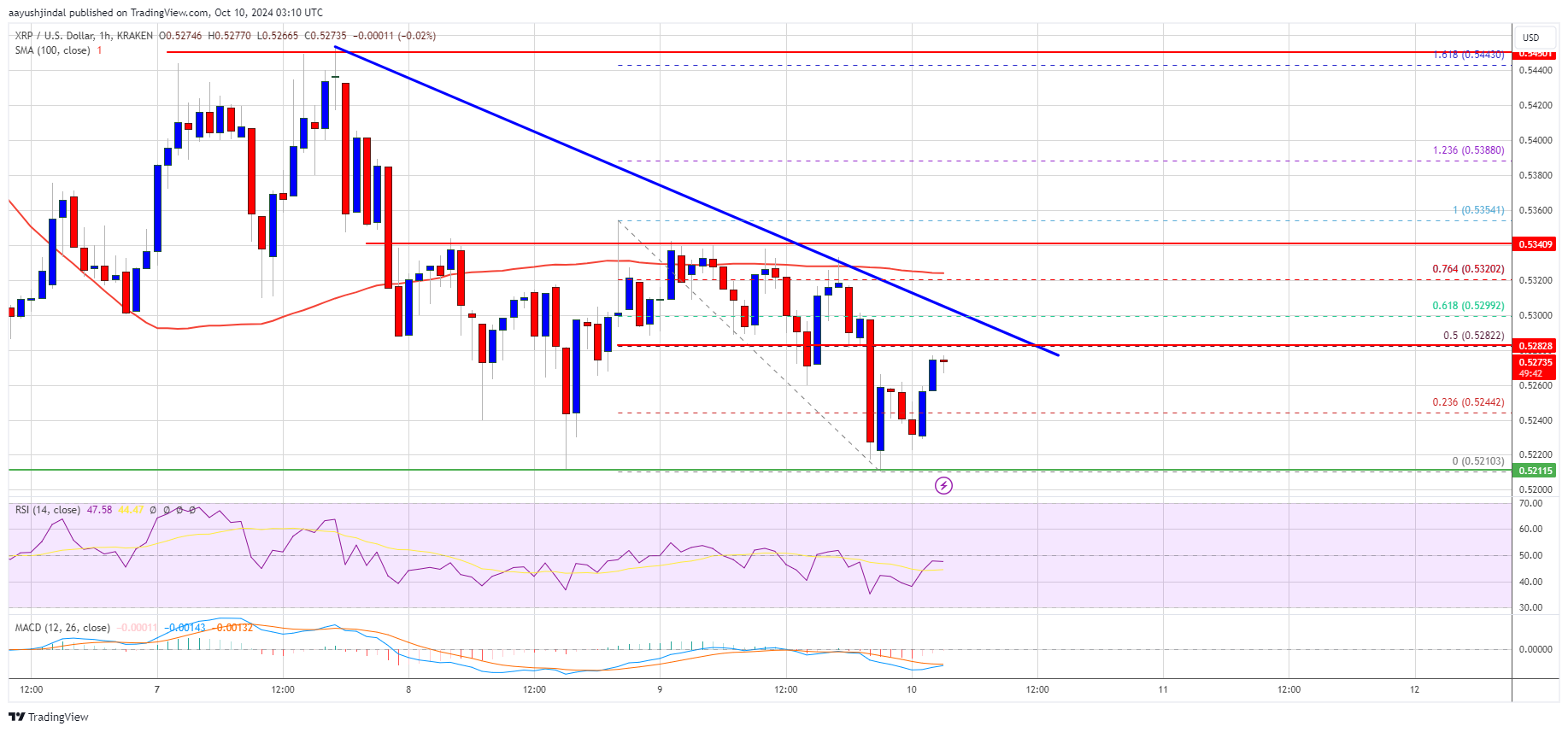 XRP Price Slows Down: Will Bears Take Over or Bulls Fight Back?