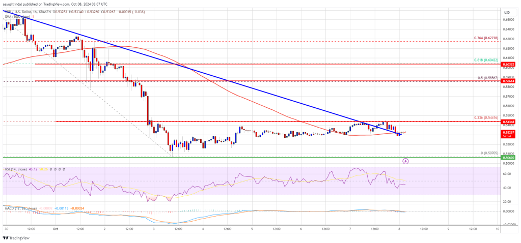 XRP price