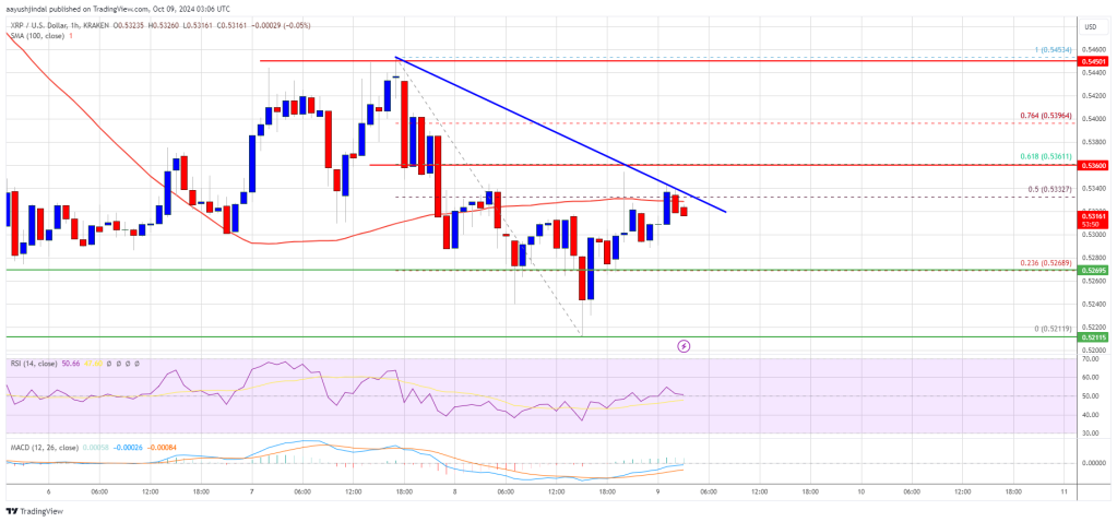 XRP price