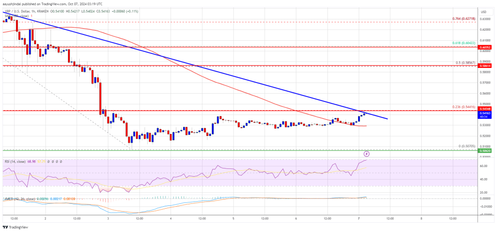 XRP price