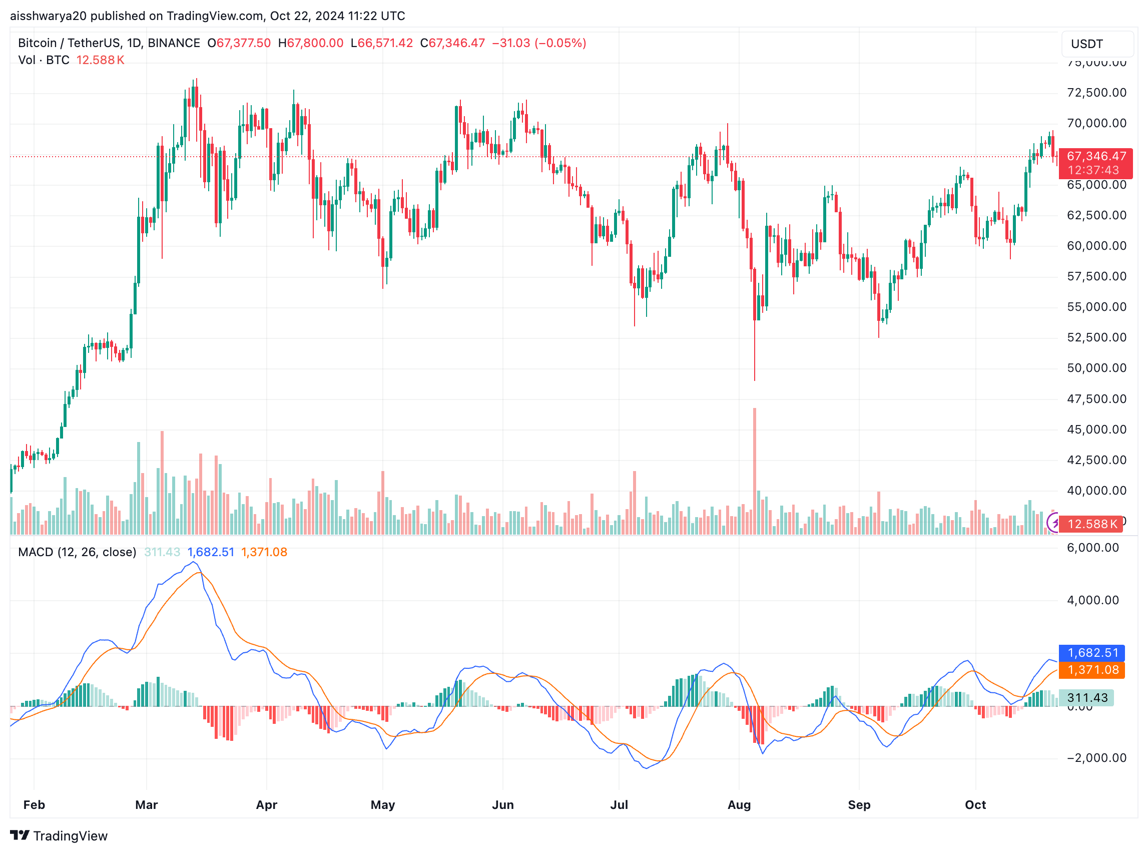 Bitcoin Retail Demand Rises 13% In 1 Month: Time For Q4 2024 Rally?