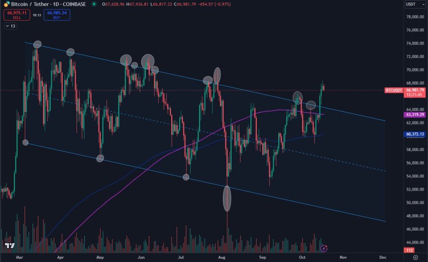 Bitcoin Breaking Out Of 7-Month Accumulation Channel: Expert Predicts Further Upside