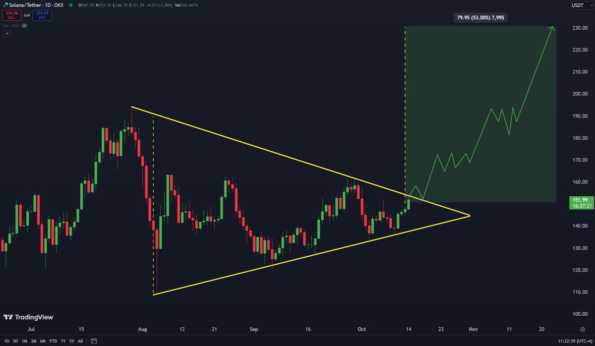 Solana Will Target New ATHs Once It Breaks $160 Resistance – Analyst