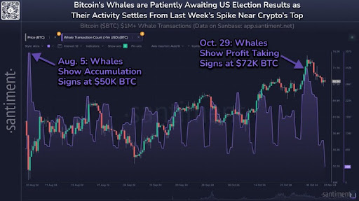 Queda do preço do Bitcoin abaixo de US$ 70.000: o que isso tem a ver com as baleias e as eleições presidenciais dos EUA?