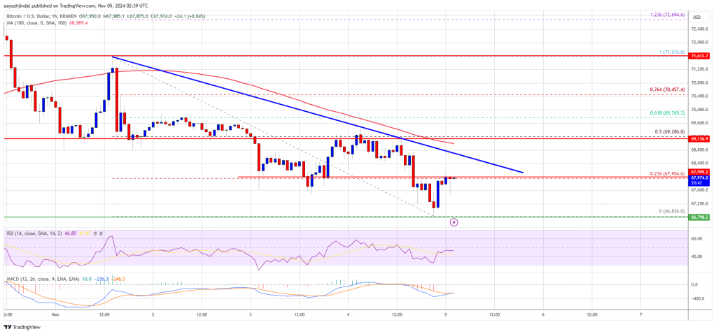 Bitcoin Price Decline Worsens: Could It Be Setting Up for Major Reversal?