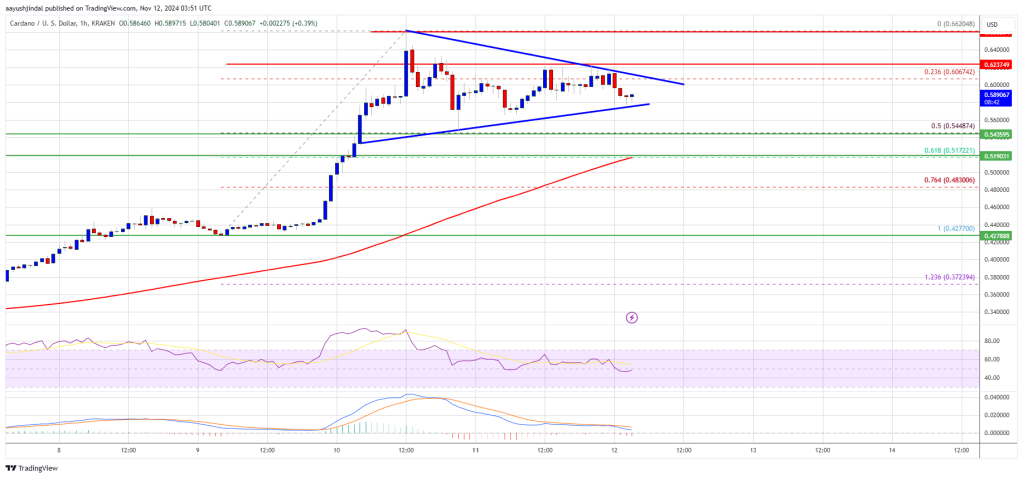 Cardano (ADA) Rally on Hold: Will It Break Out Again Soon?