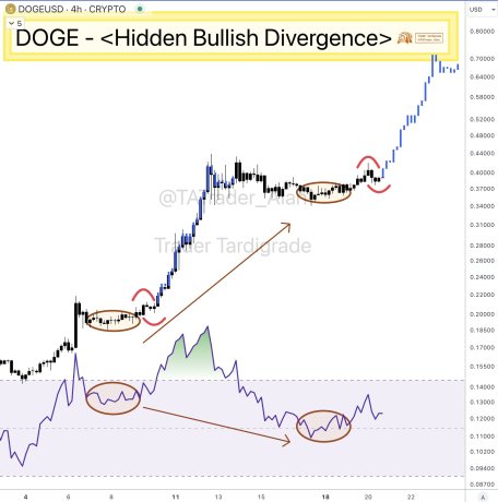 Dogecoin Set To Rally: Market Expert Claims DOGE’s Next Big Run Is Imminent