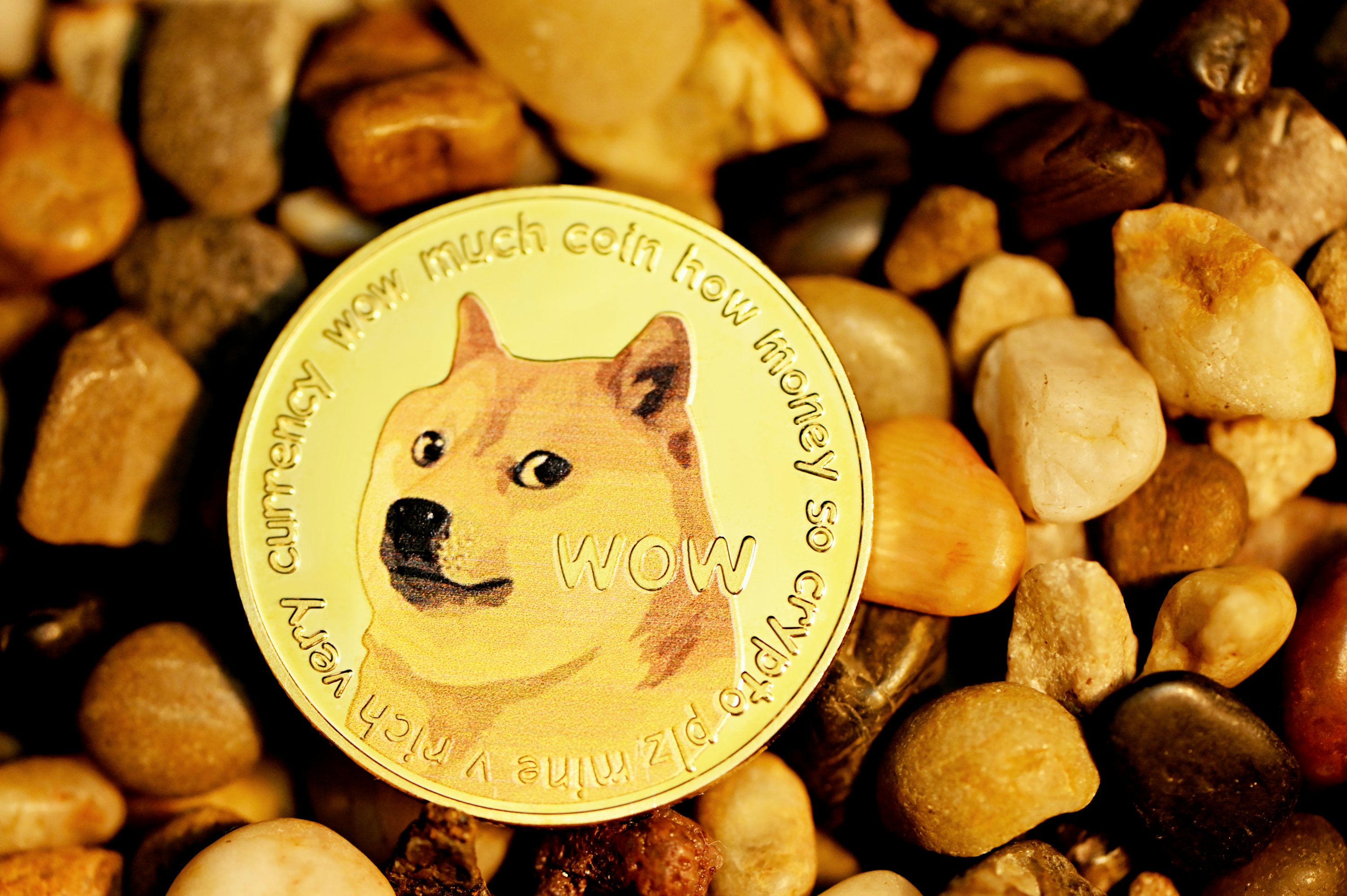 Dogecoin Price Above : Historical Data Shows How High DOGE Will Go This Bull Cycle