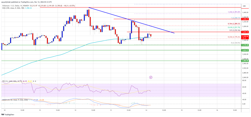 Ethereum Price Hints at Downside Correction: Will Support Hold?