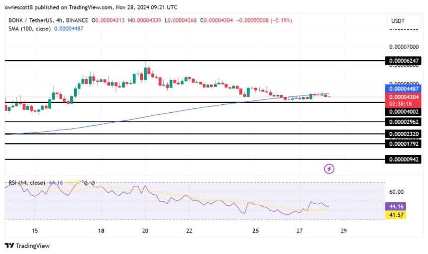 Is BONK Rally In Jeopardy? Technical Indicators Confirm Weakness