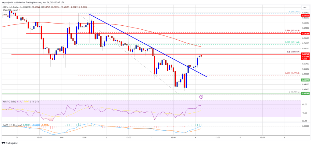 XRP Price Resilient Above $0.50 While Markets Turn Red