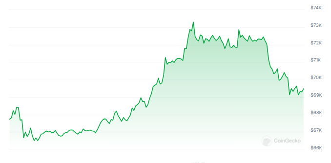 Биткойн превысил отметку в 73 000 долларов, но поисковые запросы в Google остаются на прежнем уровне — ажиотаж угасает?