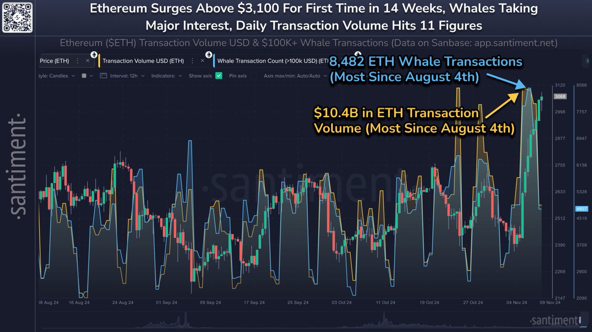 Ethereum-Wal-Transaktionen nehmen zu – hohes Volumen unterstützt Anstieg auf 3.200 US-Dollar