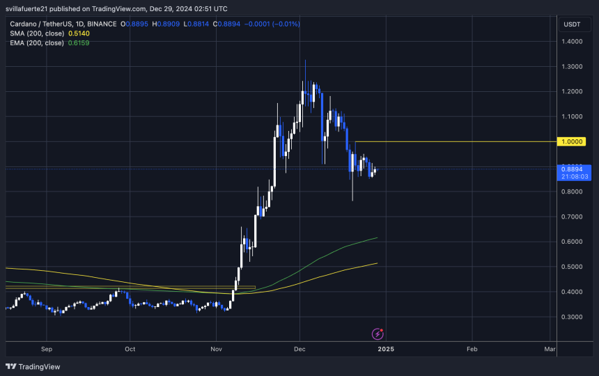 Les mesures révèlent l’accumulation de Cardano Whale – ADA est-elle prête pour un rallye ? - La Crypto Monnaie