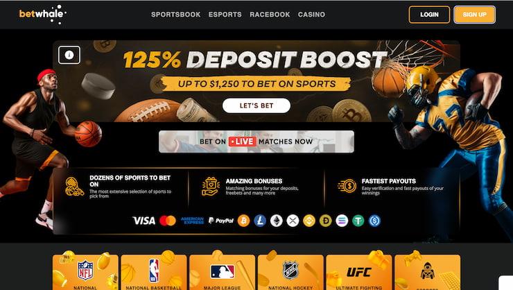 betwhale sportsbook bonus