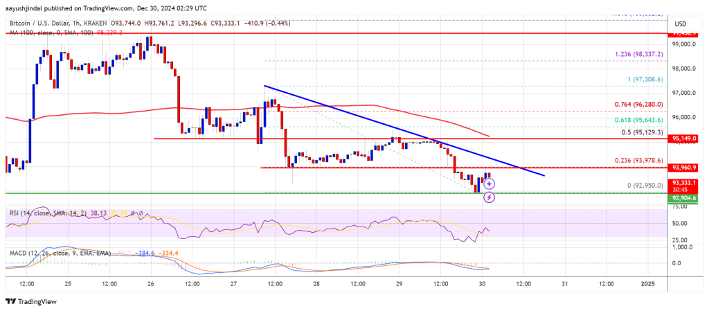 Bitcoin Price on the Brink: Could a Deeper Drop Be Ahead?