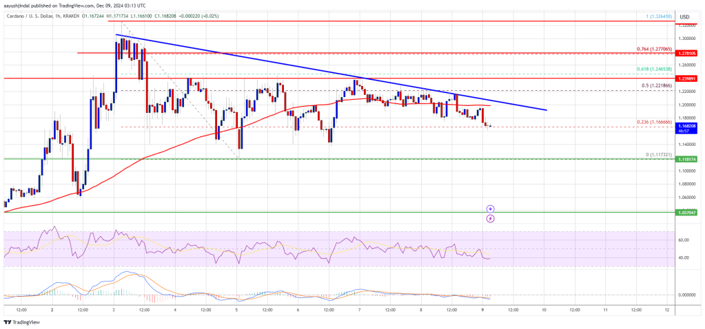 Cardano Price