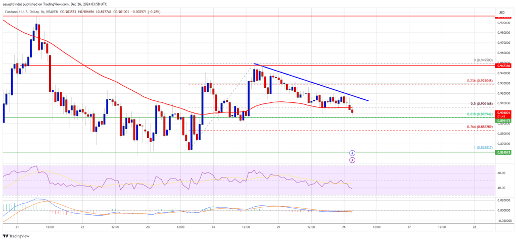 Cardano (ADA) Struggles to Hold Ground: Another Drop Incoming?