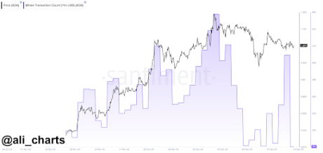 Cardano Price Eyes Recovery Toward $2 As Million-Dollar Whale Transactions Explode On The Network