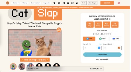 CatSlap Website