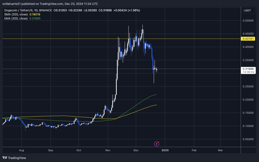 DOGE probando la demanda crucial a 0,31 $ 