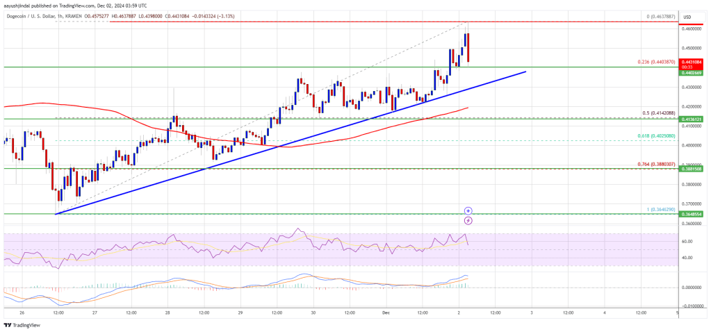 Dogecoin Price