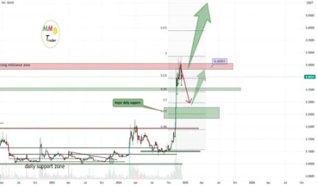 This Analyst Predicted The Dogecoin Price Crash 2 Days Ago, Full Prediction Shows A Further 30% Decline