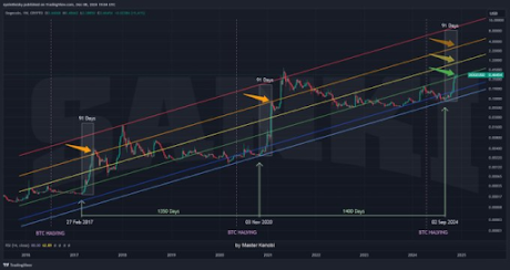 Dogecoin price 91