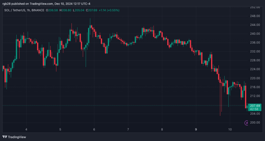 Analyst Sounds The Alarm As Solana (SOL) Retests $210, Rebound Or Retrace Next?