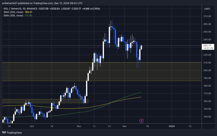 SOL testing liquidity around $230 