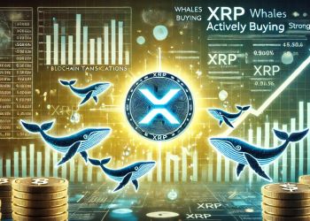 XRP Whales Loading Up – Data Reveals Buying Activity