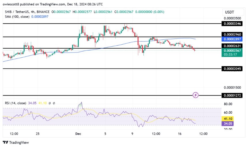 Shiba Inu Falls Below $0.00002631 As Bears Dominate The Market, Time To Buy?